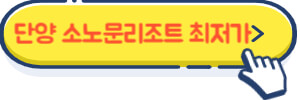 단양 소노문리조트 최저가