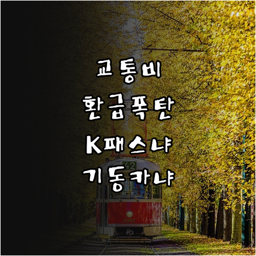 기후동행카드 K패스 비교와 월 6만 ..