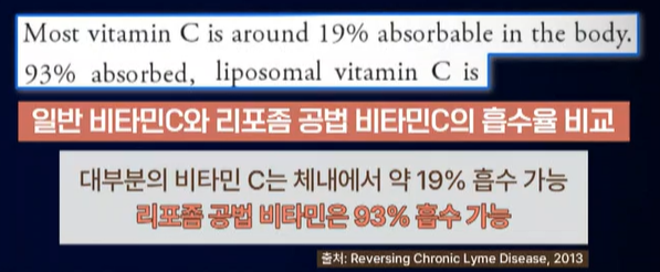 리포좀 비타민C 효능