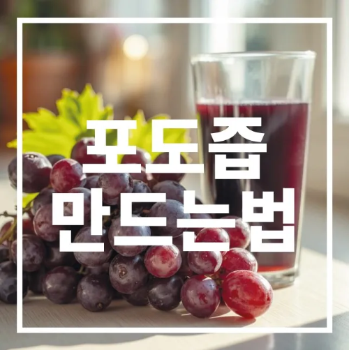 포도즙 만드는법