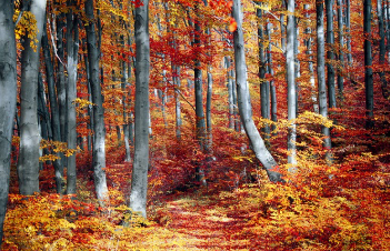 과천 무순위 줍줍 총정리 10