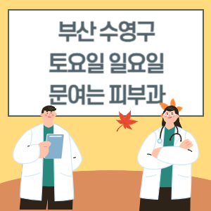 부산 수영구 토요일 일요일 피부과 진료 병원 리스트