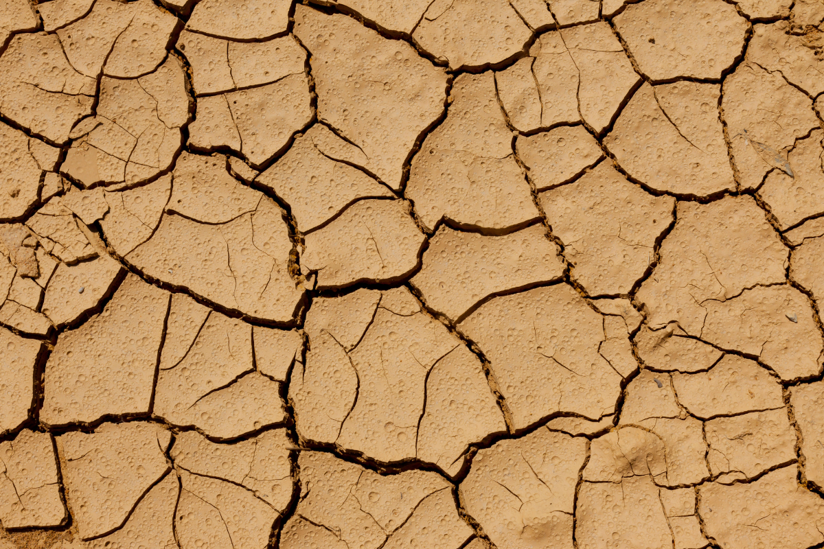 발바닥 각질이 너무 많을 때! 효과적인 관리법 총정리