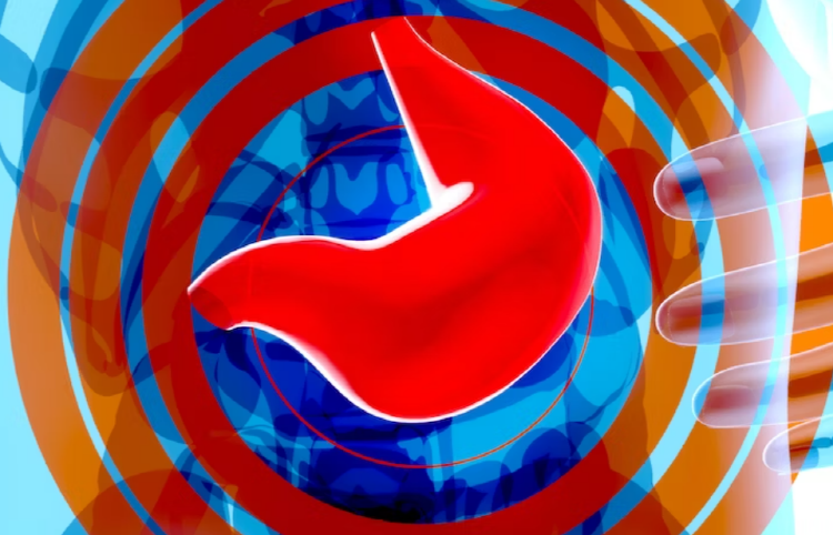 장어 효능 칼로리