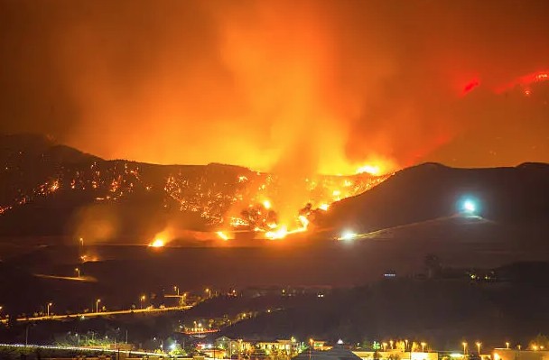 경북 재난지원금 신청 방법8