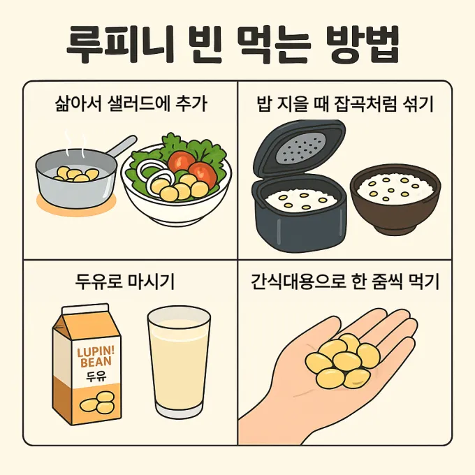 루피니빈 먹는방법