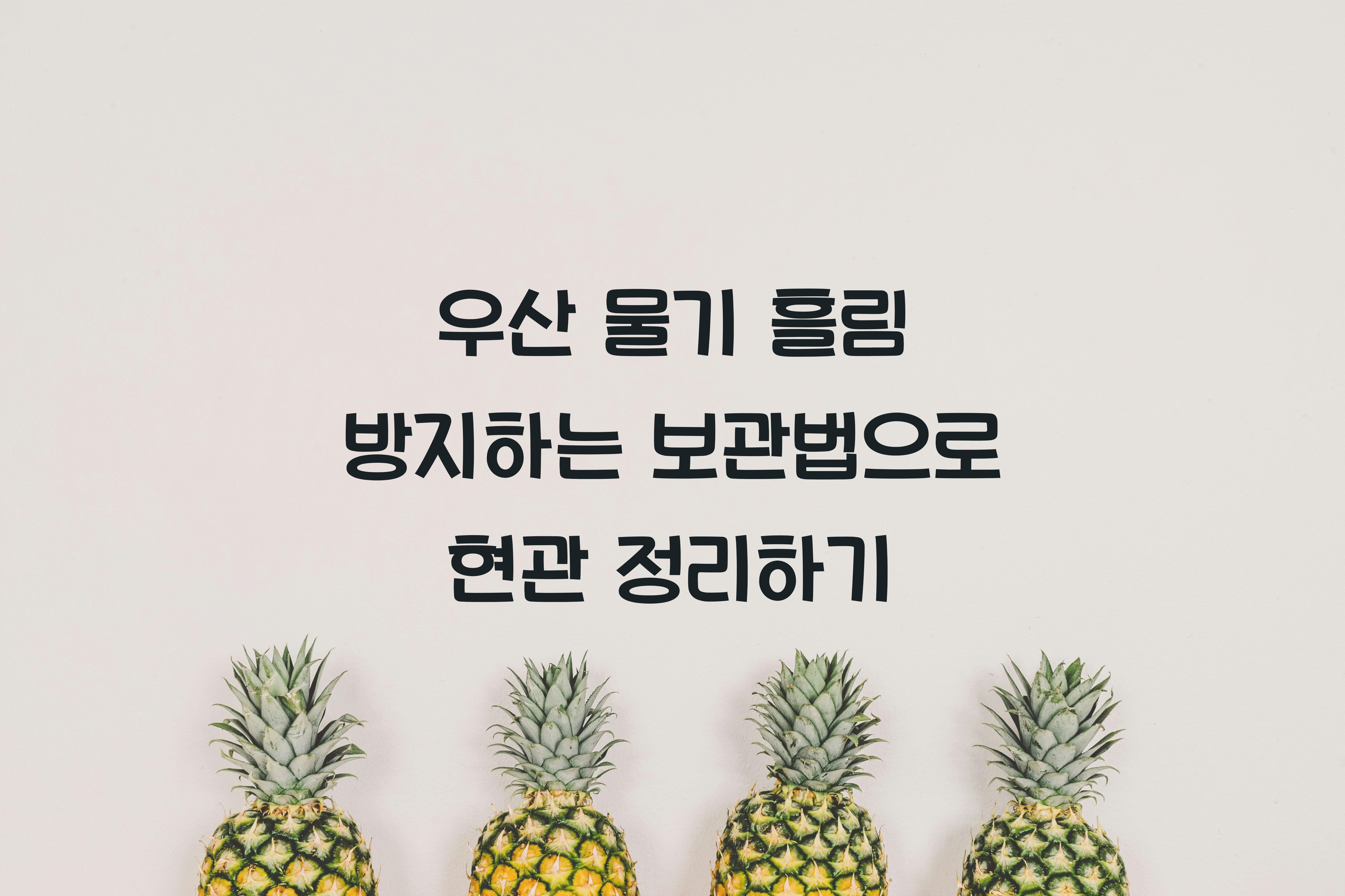 우산 물기 흘림 방지하는 보관법