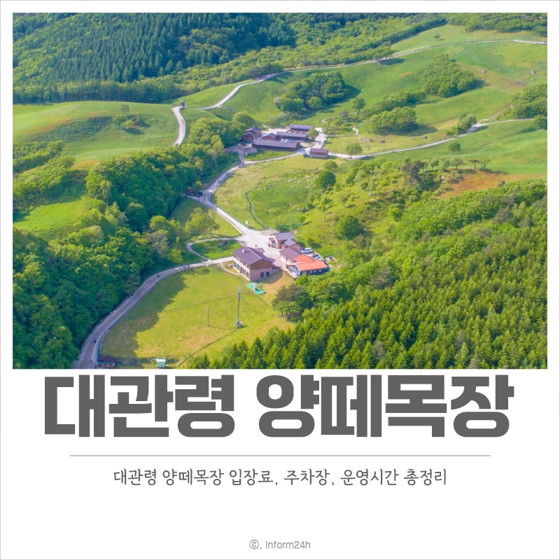 대관령-양떼목장-입장료-주차장-운영시간
