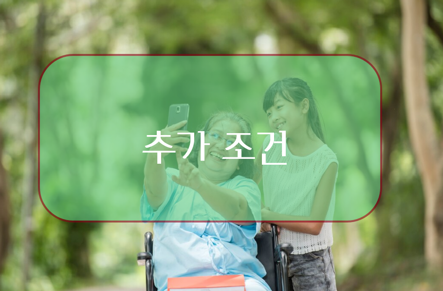 부양가족 인적공제 기준 - 추가 조건