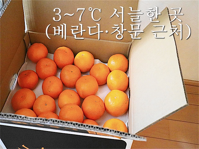 귤 보관기간, 귤 보관온도, 귤 오래 보관하는 방법, 귤 보관법, 생활꿀팁, 팁줌 매일꿀정보