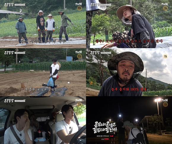 &#39;콩 심은 데 콩 나고 팥 심은 데 팥 난다&#39;에서 파종도 남다른 이광수&#44; 김우빈&#44; 도경수&#44; 김기방의 에피소드가 공개된다. [사진=tvN]