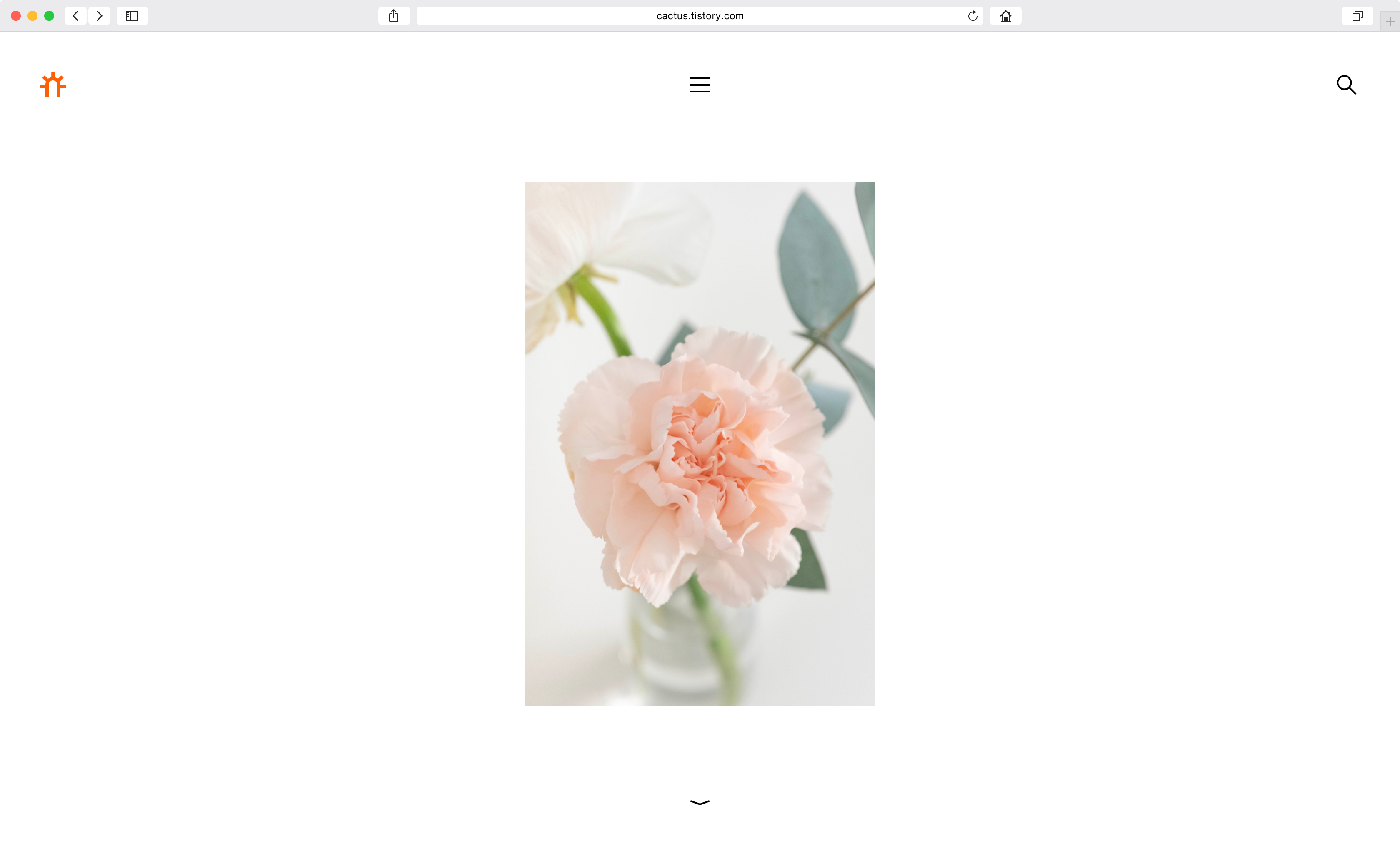 19년 CACTUS 웹