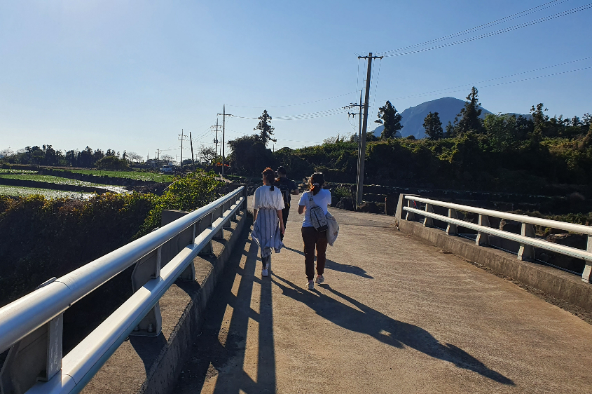 제주 올레9코스