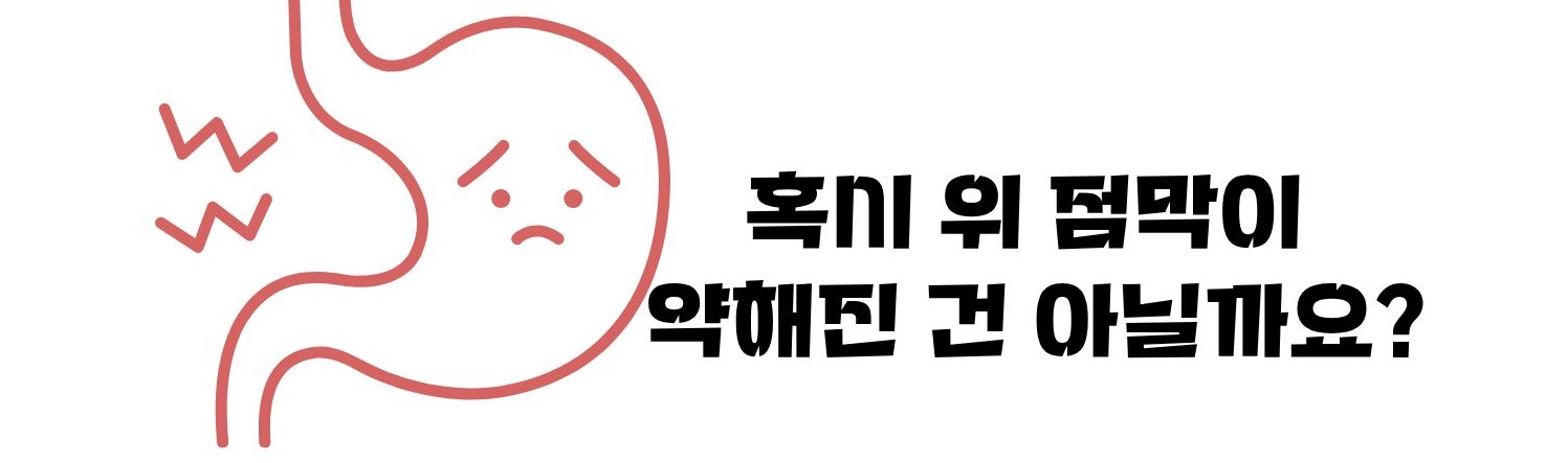 카베진 효능 설명