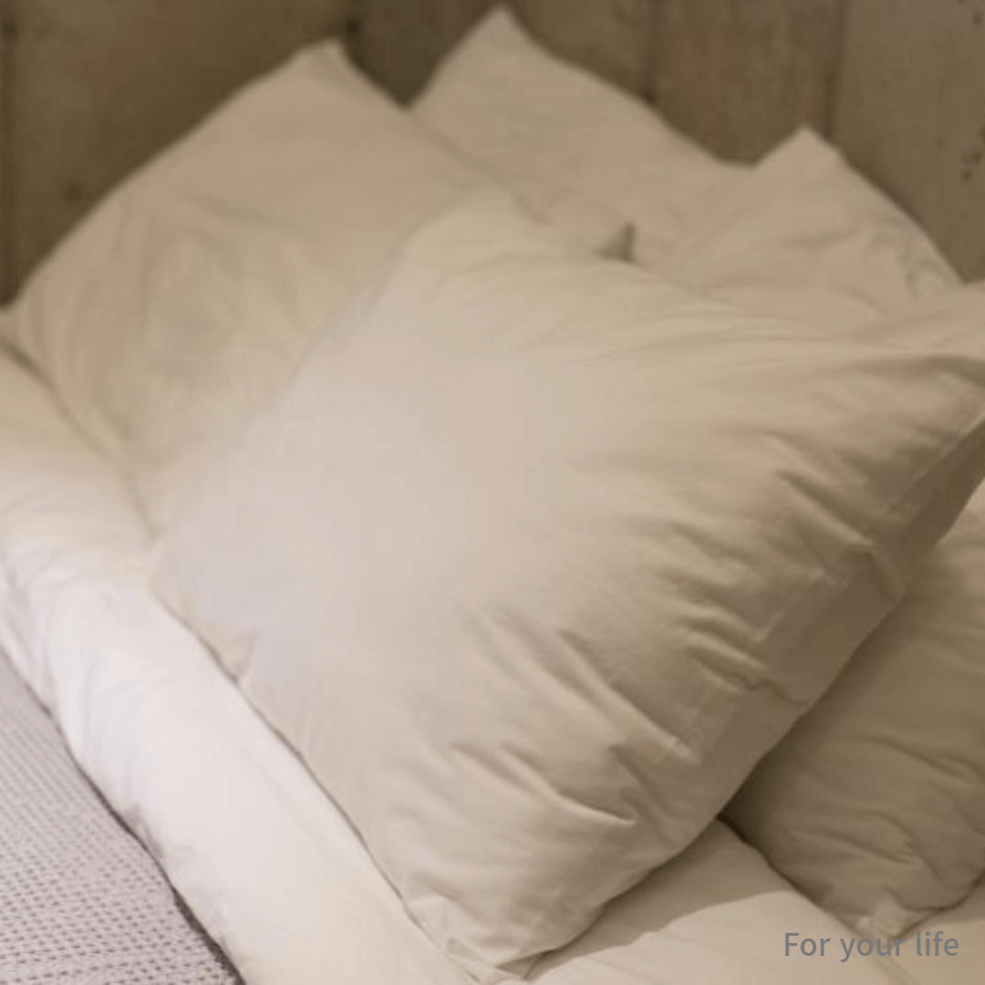 지하철에서 빈대 붙기 빈대 퇴치법 빈대 약품