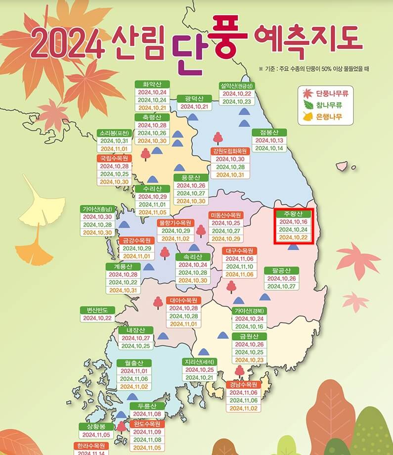 청송군-주왕산-단풍-예측-시기