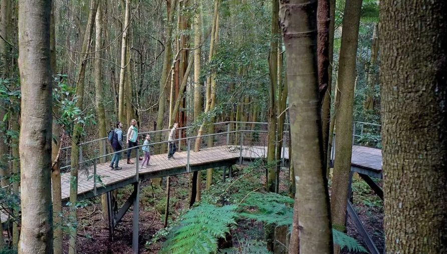 시드니 근교 블루마운틴 투어 가격 솔직 후기 + 시드니 동물원 일일투어