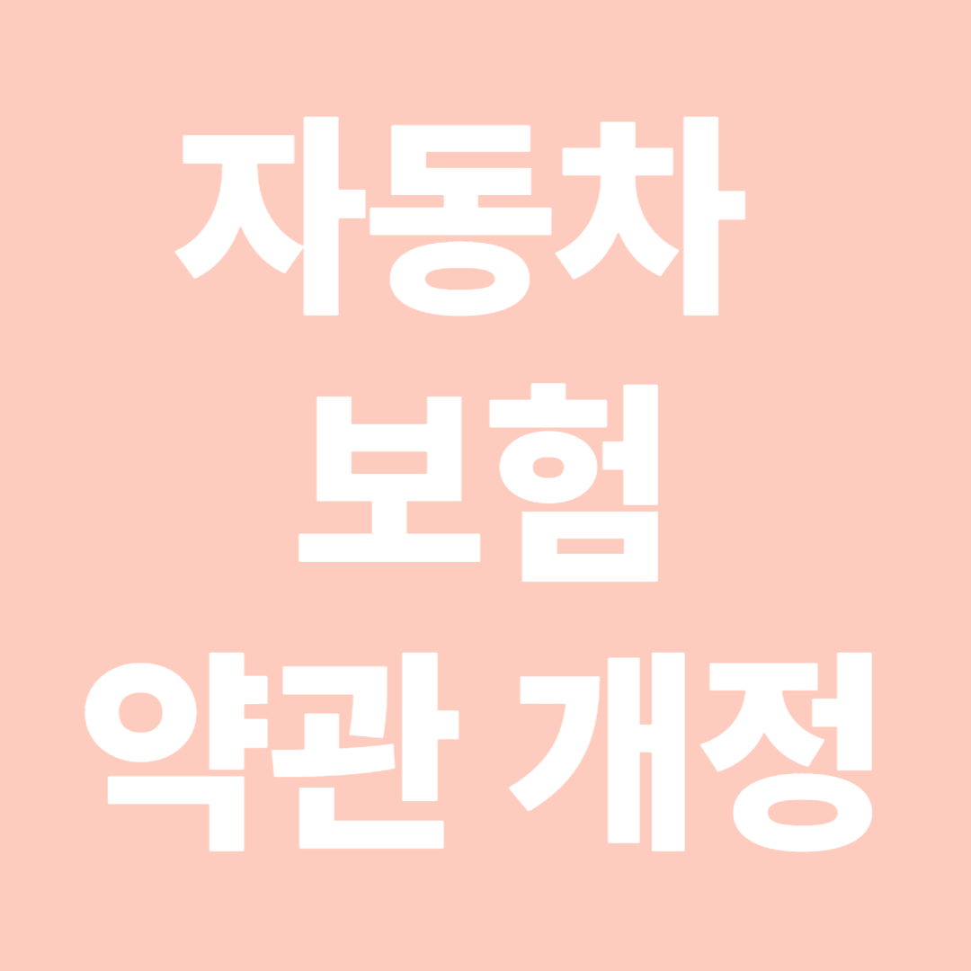 자동차보험 약관 개정