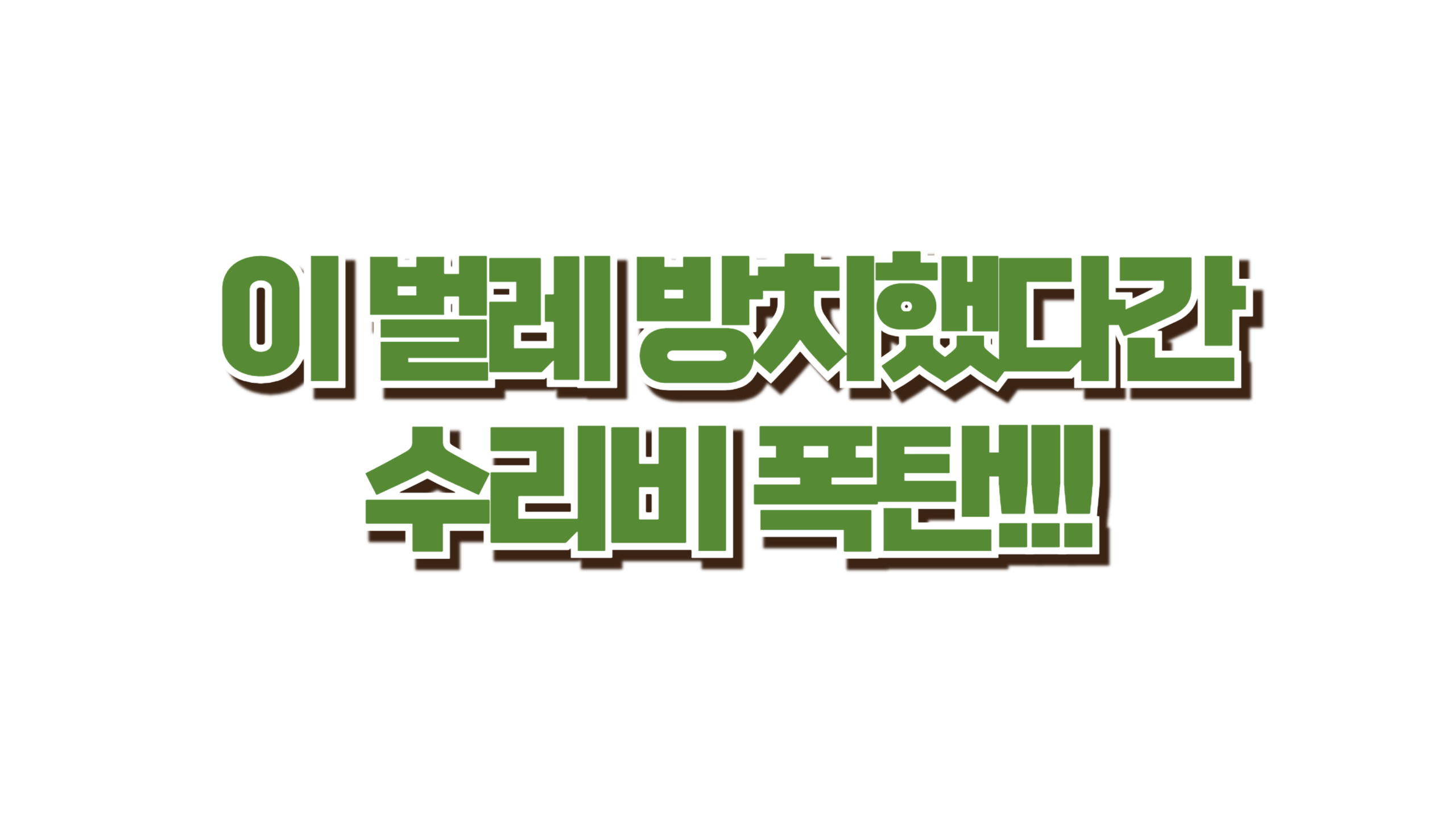 이 벌레 방치했다간 수리비 폭탄 맞습니다 사진