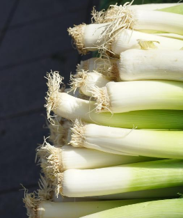 대파 보관하는 방법