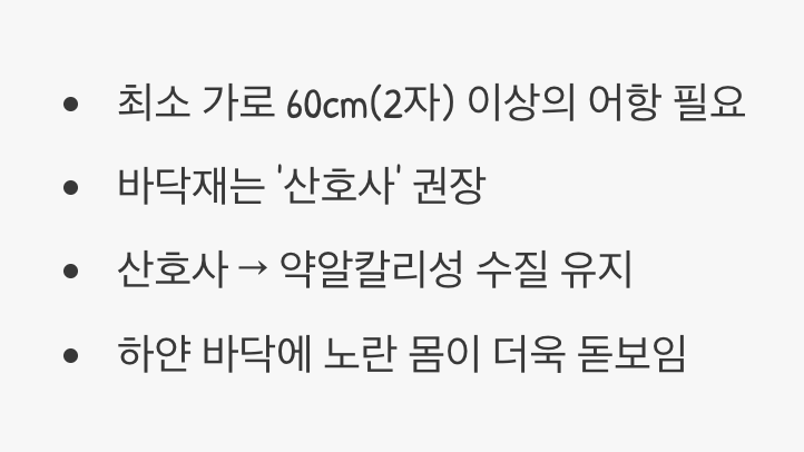 어항의 크기와 바닥재 선택