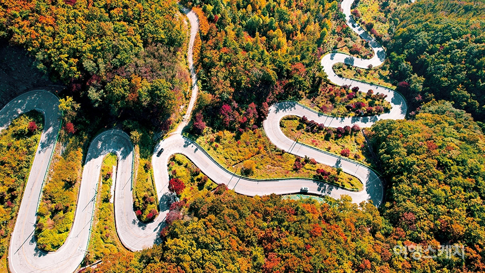 보은 가볼만한곳 베스트10