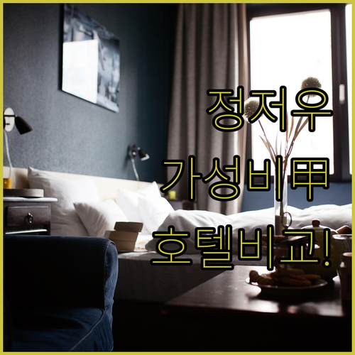 중국 정저우 여행 숙소 추천 가성비 ..