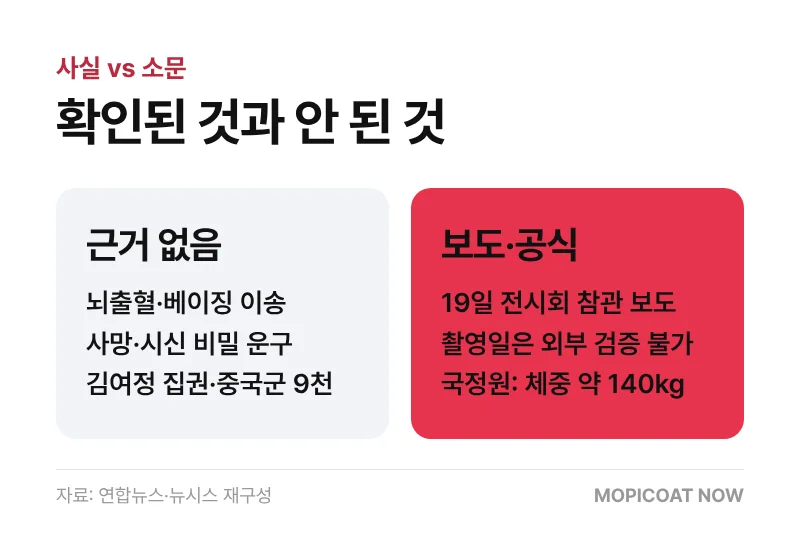 김정은 사망설 사실과 소문 비교