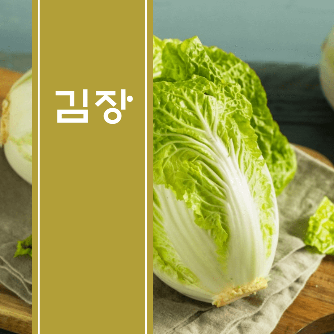 김장배추가격