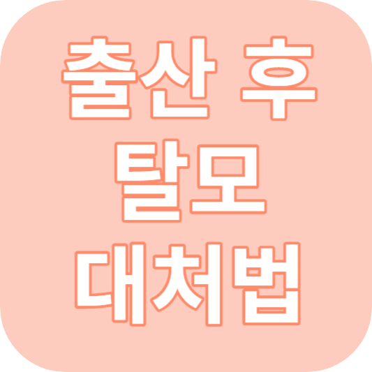 출산 후 탈모