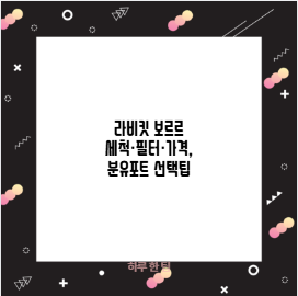 라비킷 보르르 세척·필터·가격, 분유포트 선택팁