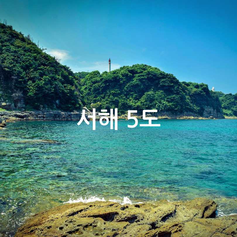 외국인 토지거래허가구역으로 지정