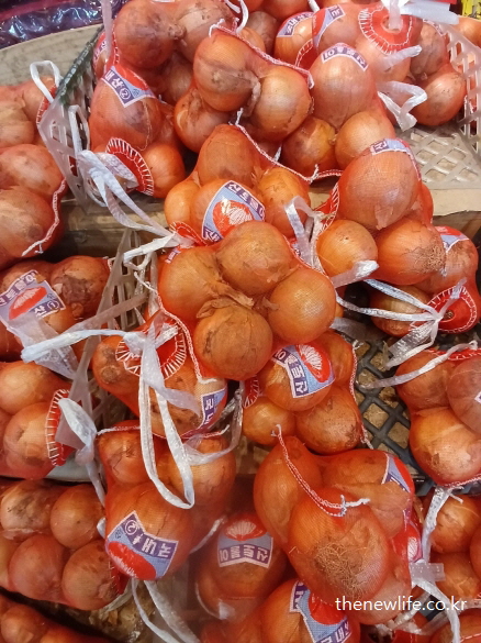 국내산 양파 망 포장 제품, 신선한 양파의 보관과 콜레스테롤 수치 개선에 효과적인 양파 효능