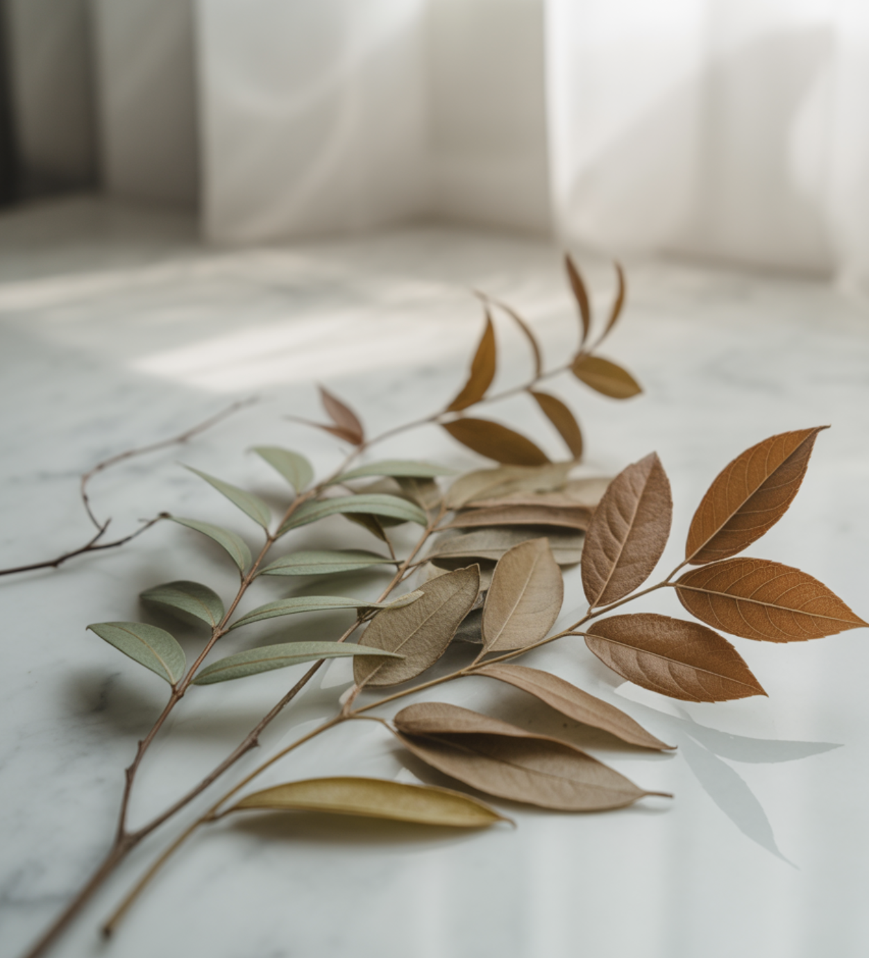 잎과 줄기&amp;#44; 버릴 것이 없는 지혜