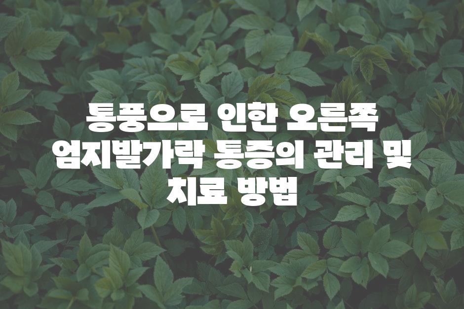 통풍으로 인한 오른쪽 엄지발가락 통증의 관리 및 치료 방법