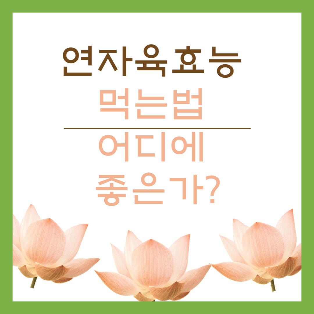 연자육 효능 먹는법 어디에 좋은가?