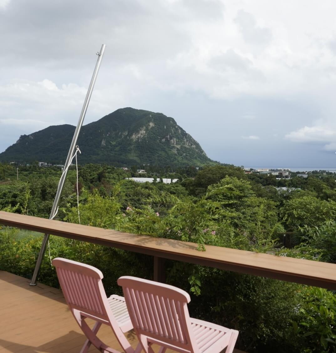 마노르블랑은 2천평이 넘는 정원에 7000여본에 장미와 유럽수국&amp;#44; 동백으로 꾸며진 환상적인 정원입니다