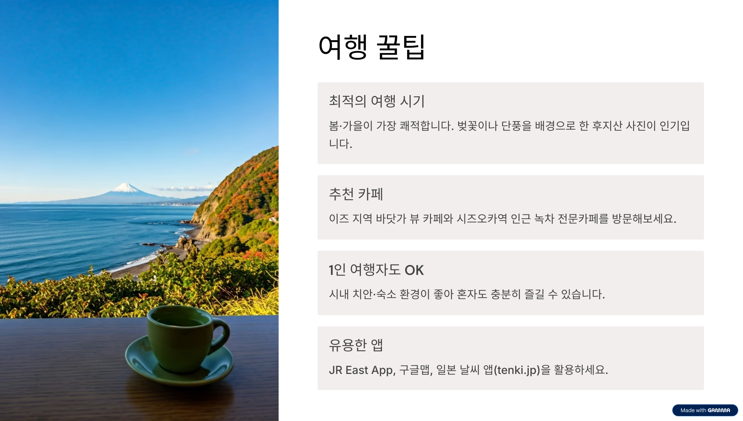 시즈오카 자유여행 가이드 후지산 전망부터 온천·녹차 체험 코스 추천