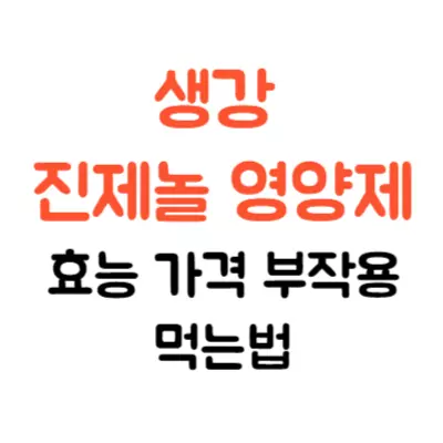 생강 진제놀 영양제 효능 가격 부작용 먹는법