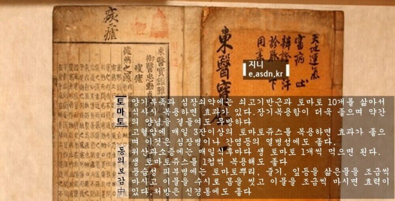 토마토 효능 12가지와 부작용 총정리