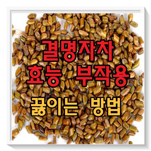 결명자차 효능 부작용