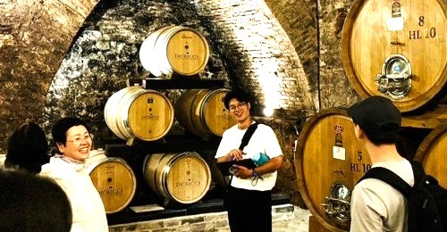 와인 창고 관람