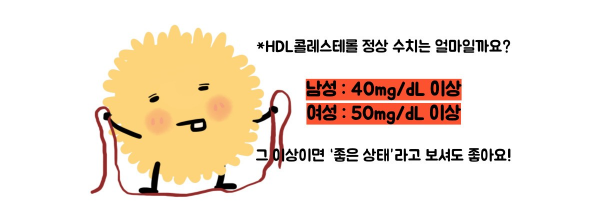 hdl콜레스테롤 정상수치