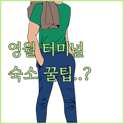 영월시외버스터미널 근처 숙소 추천 및..