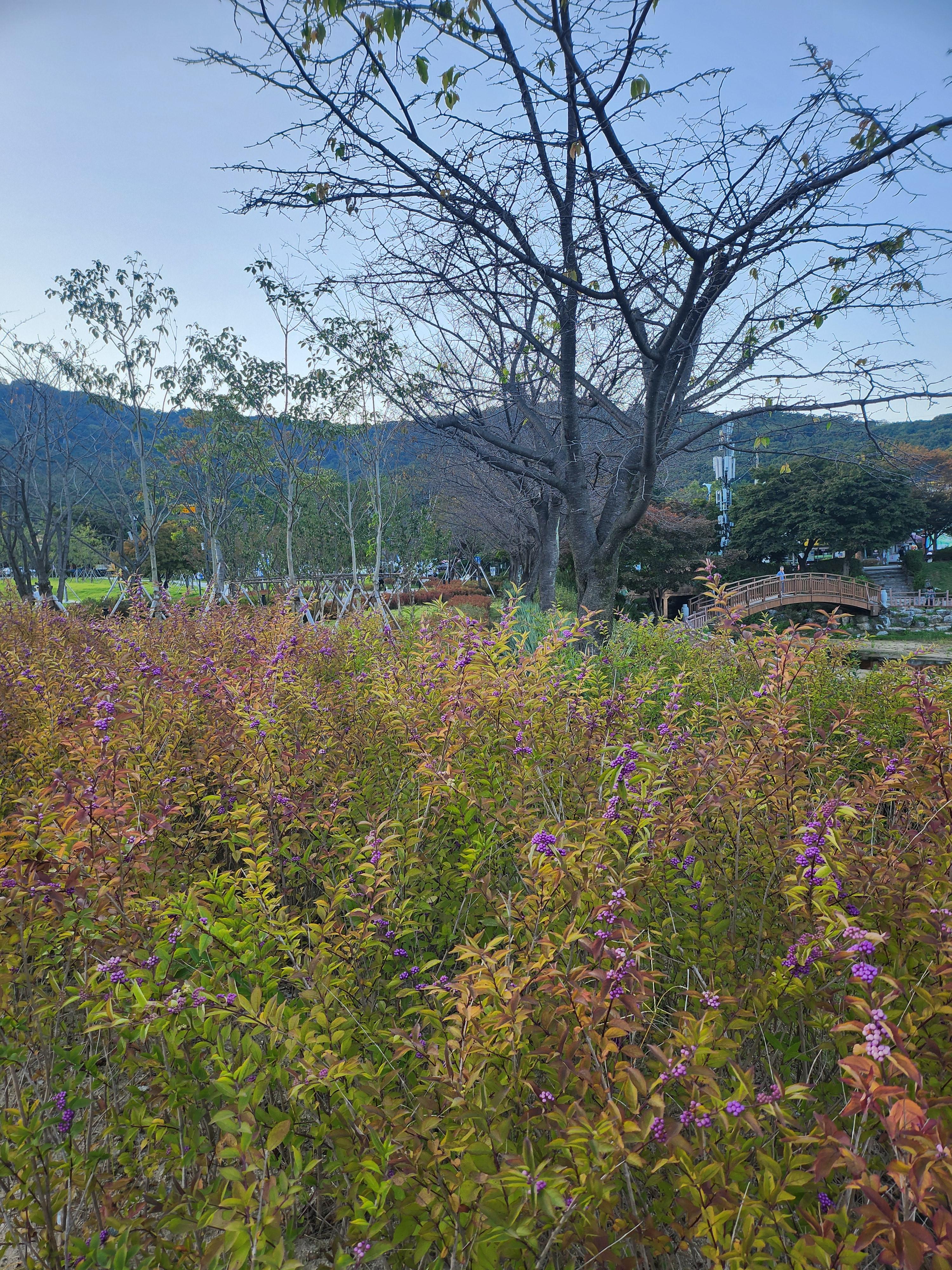 이천여행설봉공원