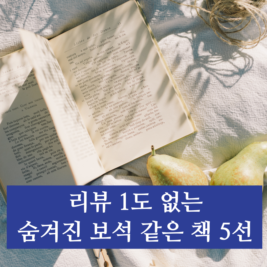 펼쳐진 영어책 위로 화장한 해가 비추고, 아래에 제목 '리뷰 1도 없는 숨겨진 보석 같은 책 5선'이 쓰여 있다.