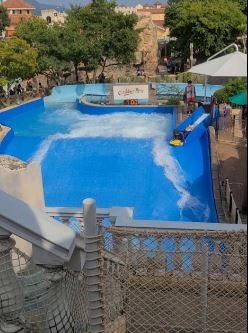 캐리비안베이서핑