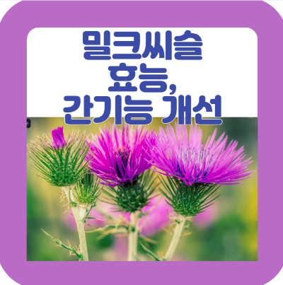 밀크씨슬