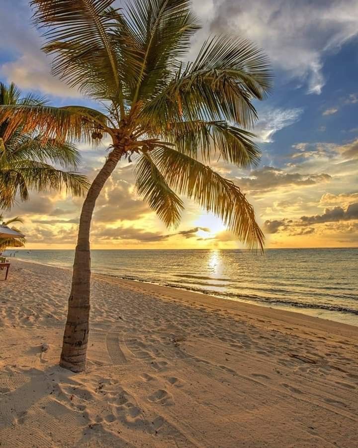 하와이 여행 관련 사진