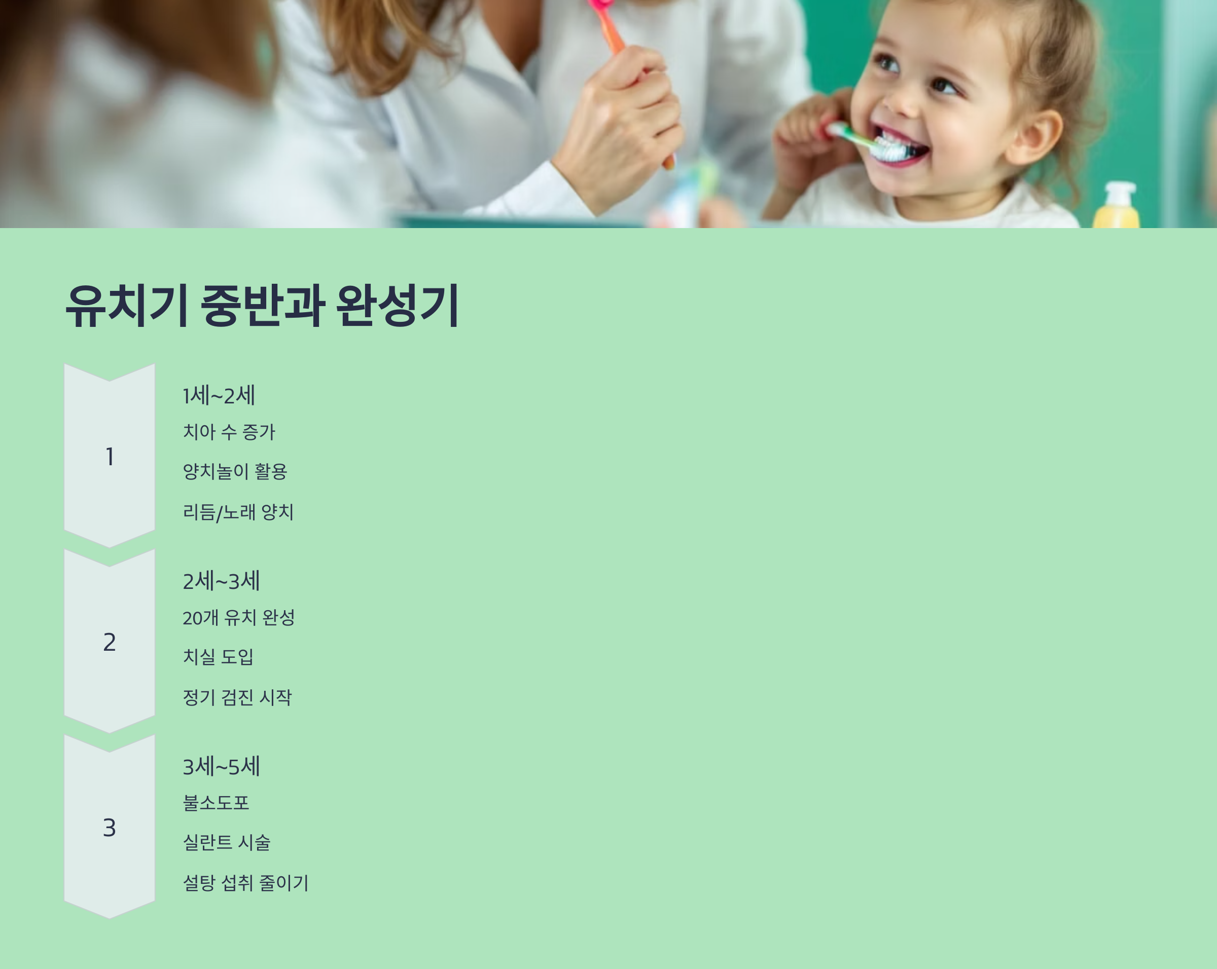 유치기 중반과 완성기